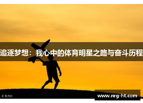 追逐梦想：我心中的体育明星之路与奋斗历程