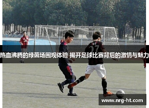 热血沸腾的绿茵场围观体验 揭开足球比赛背后的激情与魅力